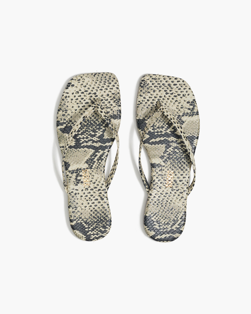 Tkees Lily - Square Toe Exotics