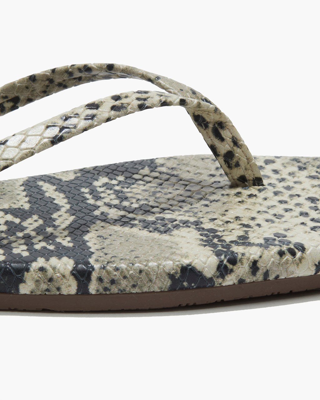 Tkees Lily - Square Toe Exotics